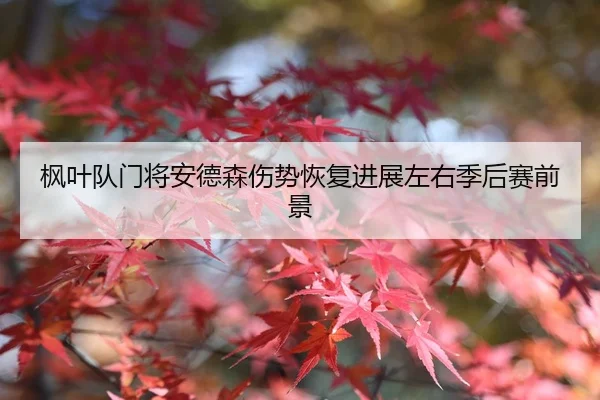 枫叶队门将安德森伤势恢复进展左右季后赛前景